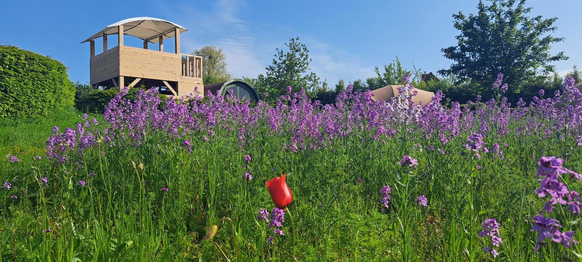 Hotel Ecochique Westouter Zewnętrze zdjęcie